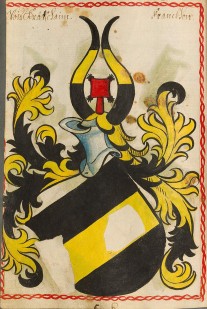 Wappen aus dem Scheiblerschen Wappenbuch