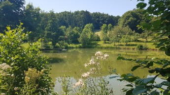Heckfelder See