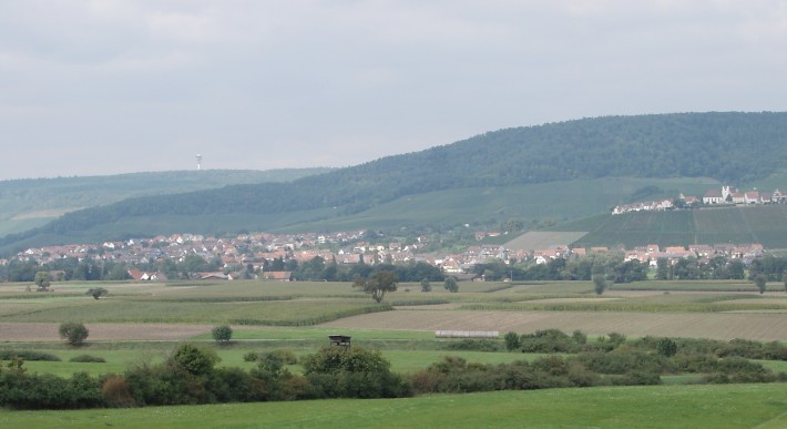 Stromberg bei Brackenheim