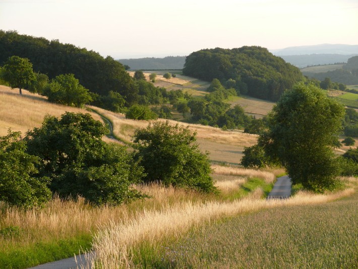 Landschaft bei Billingsbach