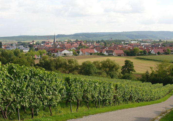 Weinberge bei Brackenheim