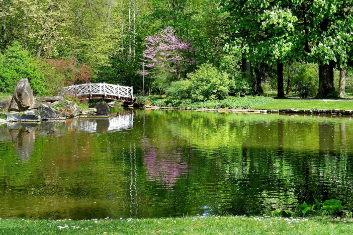 Kurpark Bad Mergentheim