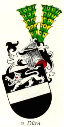Wappen derer von Dürn im Aschaffenburger Wappenbuch