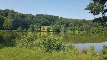 Heckfelder See