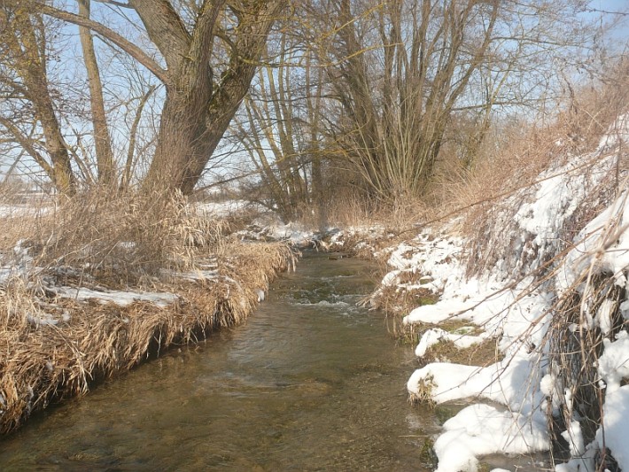 Der Aalenbach bei Kleinaltdorf