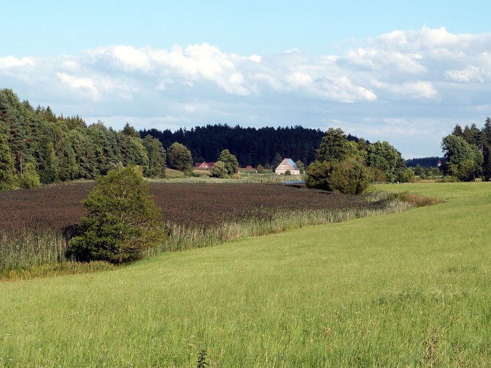 Der Auweiher – einer der vielen Seen im Lauf und im Einzugsgebiet der Rotach