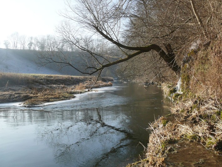 Bühler