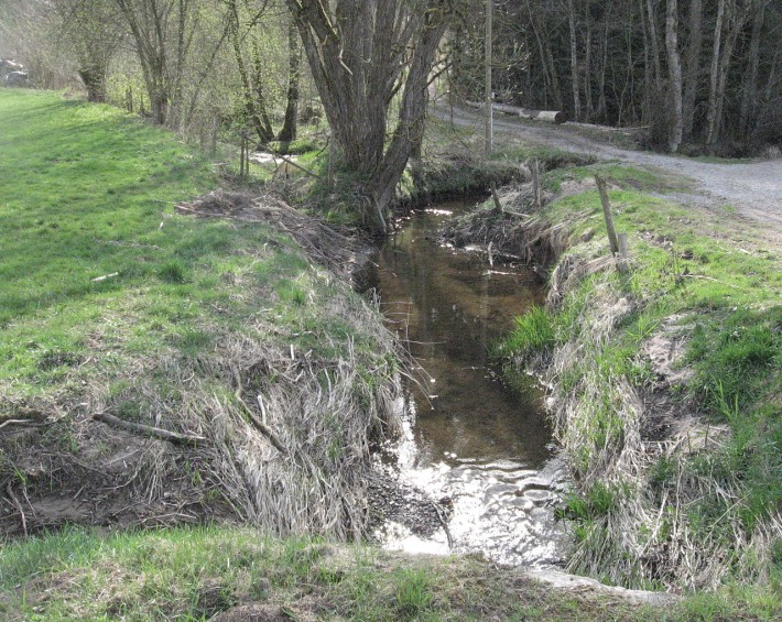 Der Klingenbach unmittelbar vor dem Hambach-Zufluss