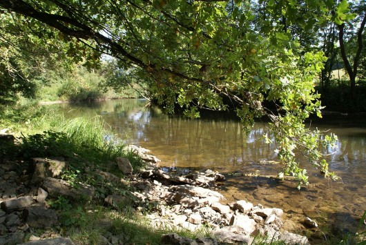 Kocher bei Rosengarten