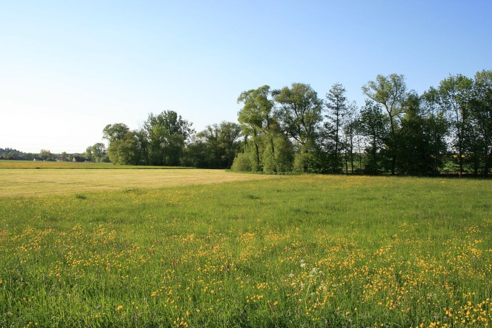 Das untere Brettachtal bei Langenbeutingen