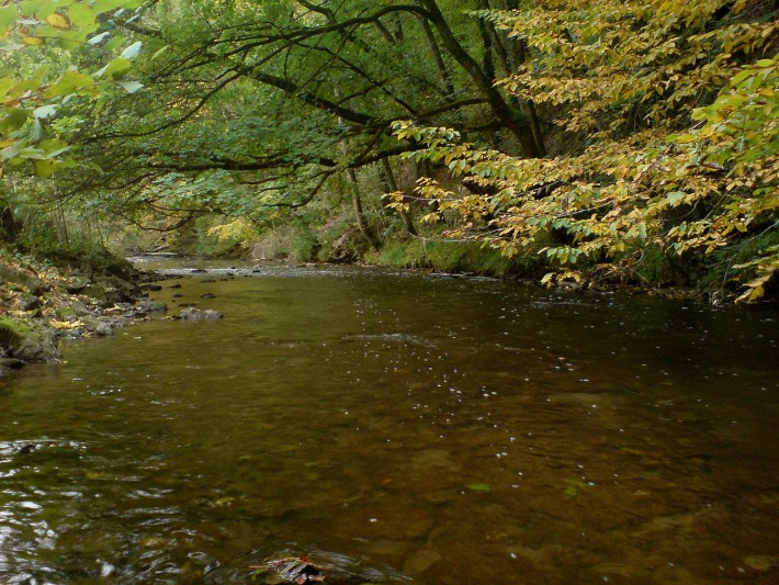 Die Ohrn an ihrem Unterlauf zwischen Unterohrn und Ohrnberg