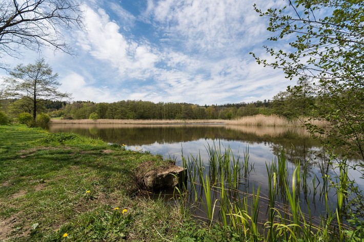 Der Rößlesmahdsee