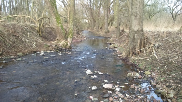 Der Wildbach nördlich von Boxtal Der Wildbach nördlich von Boxtal