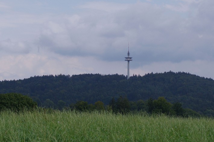 Blick zur Hohen Brach