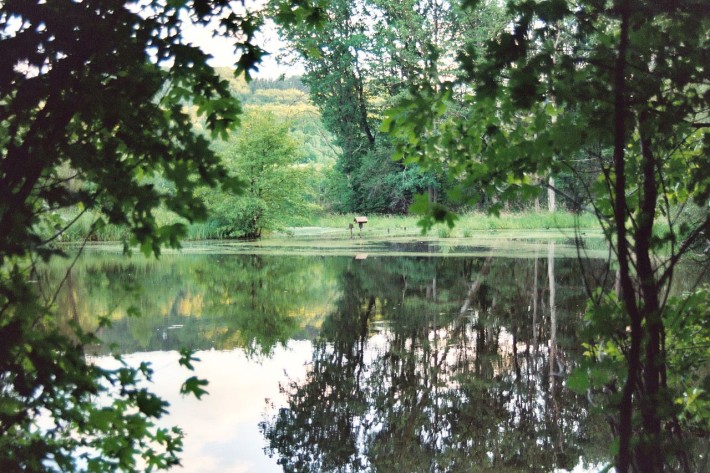 Kupfermoorsee