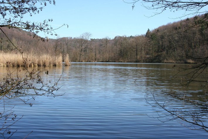 Bleichsee bei Löwenstein