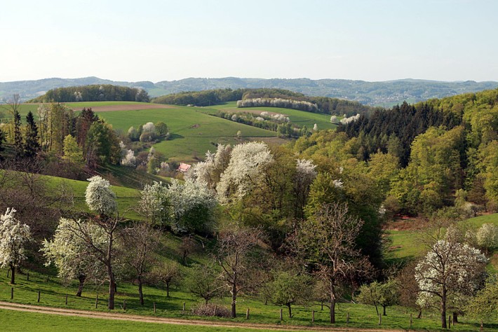 Odenwald