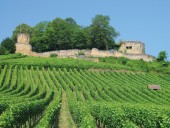 weinsberg_ruine_weibertreu_original