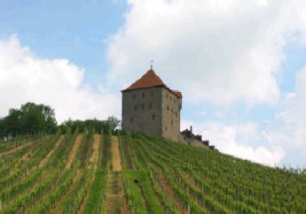 Burg Wildeck