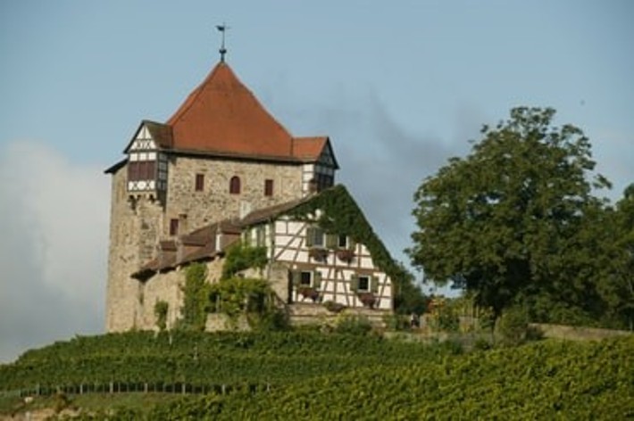 Weinbau