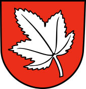 Wappen von Ahorn