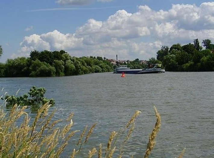 Jagstmündung bei Bad Friedrichshall