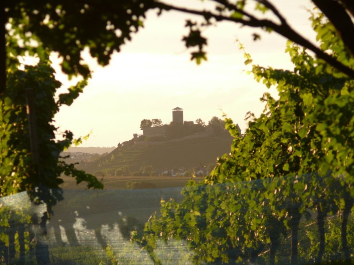 Blick auf die Burg Hohenbeilstein