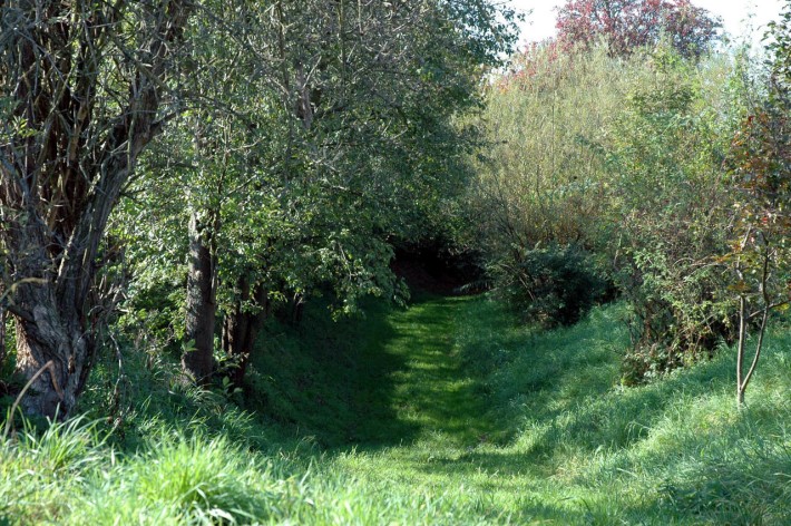 Altwürttembergischer Landgraben