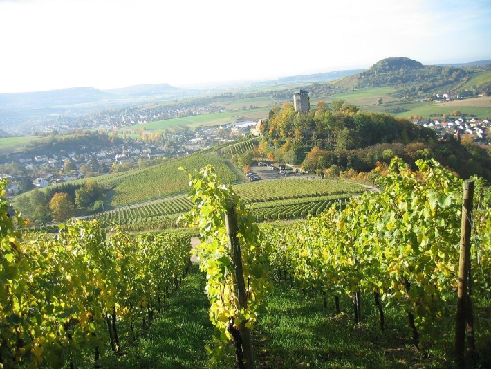 Weinberge