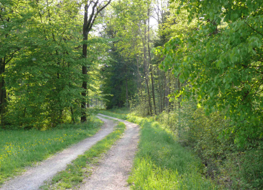 7-Wälder-Radweg