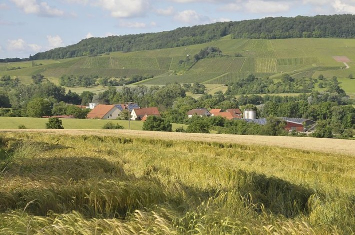 Weinberge bei Bretzfeld