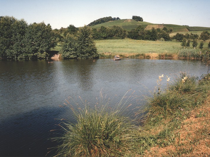 Lindelbachsee