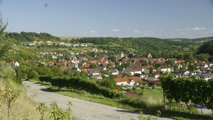 In den Weinbergen