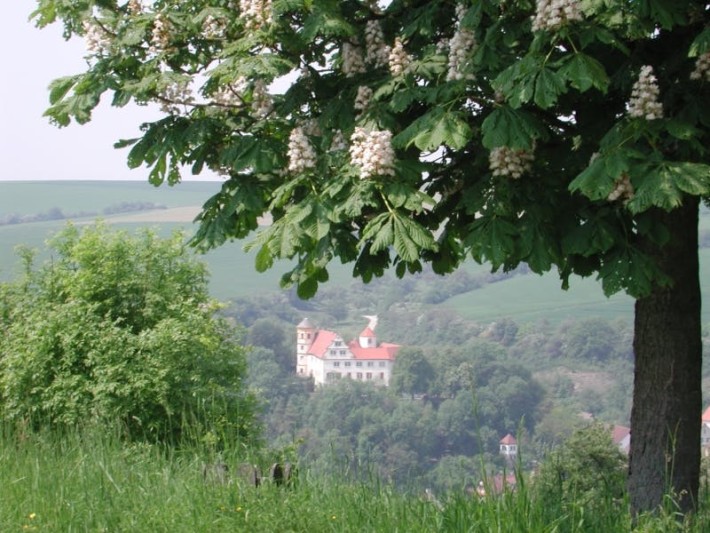 Blick auf Schloss Laibach