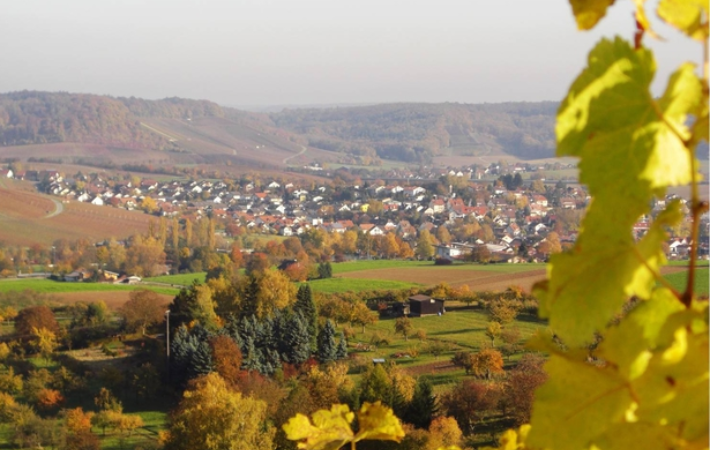 Weinberge Eberstadt