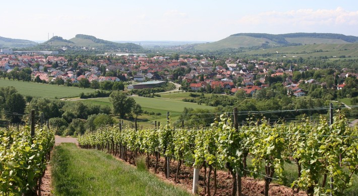 Weinbau