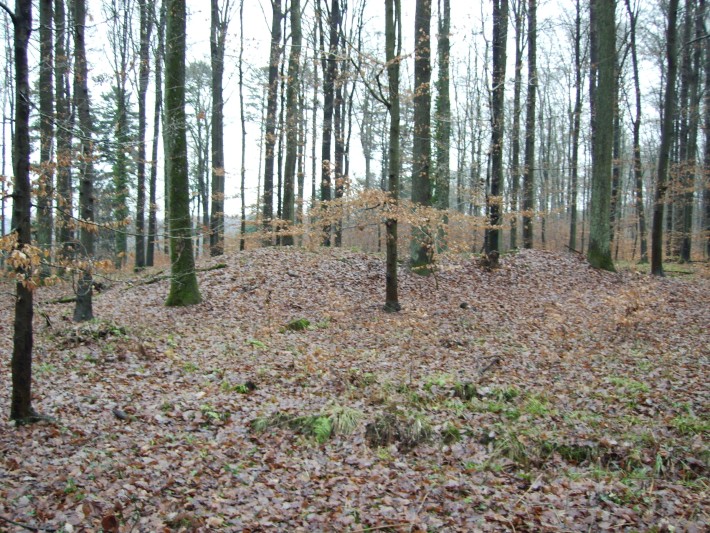 Hügelgrab bei Eppingen, Gemarkung Kopfrain