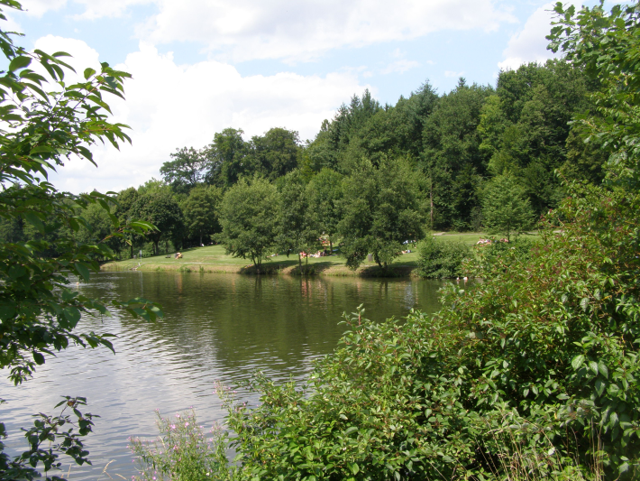 Tiroler Seen bei Schleierhof