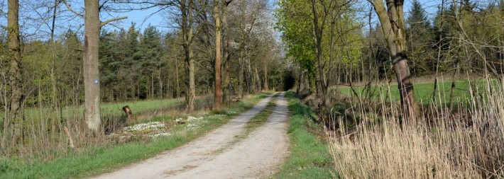 Wanderweg bei Freudenberg