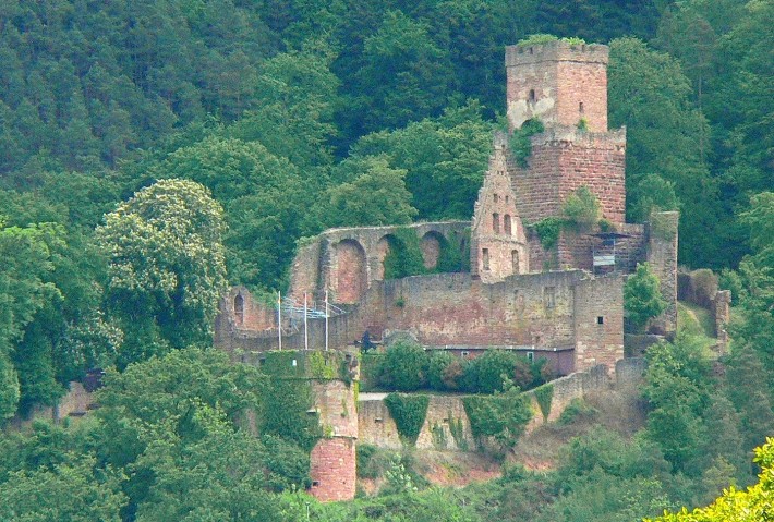 Burgruine Freudenberg
