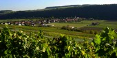 krautheim_weinberge_ortsteil_klepsau