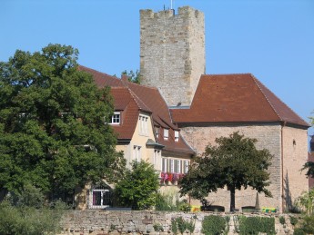 Die Burg Lauffen