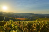 stadt_loewenstein3_2025