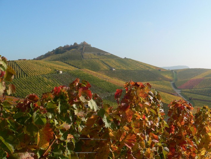 Der Scheuerberg von Neckarsulm gesehen