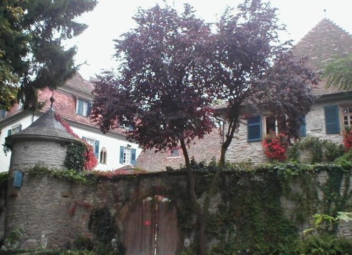 Schloss Oedheim