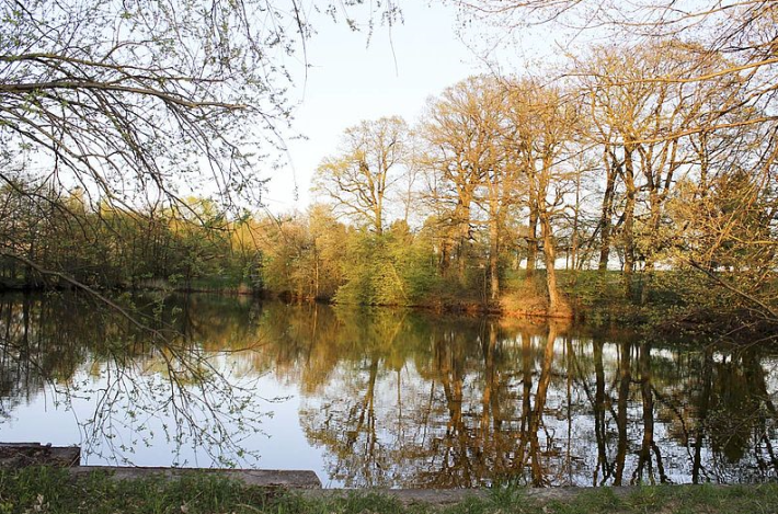 Bei Friedrichsruhe Bei Friedrichsruhe